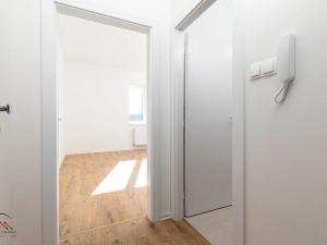 Pronájem bytu 1+kk, Ostrava, Palackého, 23 m2