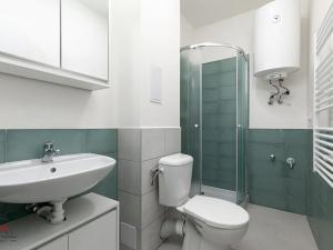 Pronájem bytu 1+kk, Ostrava, Palackého, 29 m2