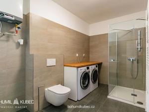 Pronájem bytu 1+kk, Veselí nad Lužnicí, Budějovická, 40 m2