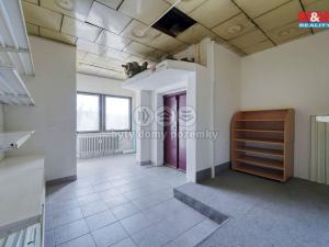 Pronájem obchodního prostoru, Třemošná, Plzeňská, 187 m2