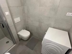 Prodej bytu 1+kk, Brno, Reissigova, 42 m2