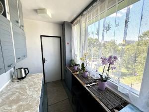 Pronájem bytu 3+1, Pardubice, Lidická, 65 m2