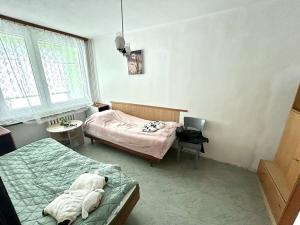 Pronájem bytu 3+1, Pardubice, Lidická, 65 m2