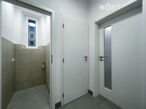 Pronájem bytu 1+1, Plzeň, Čechova, 45 m2