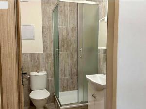 Pronájem bytu 1+kk, Brno - Husovice, Hálkova, 32 m2