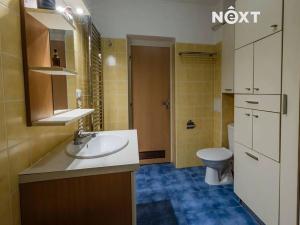 Prodej bytu 2+kk, Vracov, Borová, 52 m2