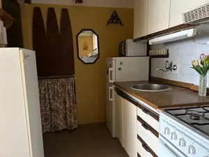 Prodej bytu 1+kk, Brno, Cihlářská, 30 m2