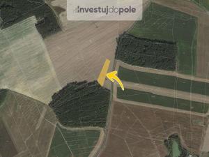 Prodej pole, Zruč-Senec - Zruč, 990 m2