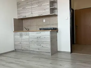 Pronájem bytu 1+kk, Planá nad Lužnicí, Průmyslová, 19 m2