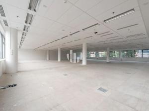 Pronájem kanceláře, Praha - Vokovice, Evropská, 900 m2
