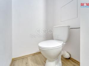 Prodej bytu 1+kk, Plzeň - Bolevec, Rabštejnská, 31 m2