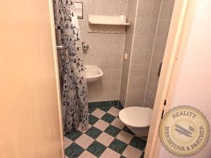Pronájem bytu 1+kk, Praha - Břevnov, Nad Závěrkou, 14 m2