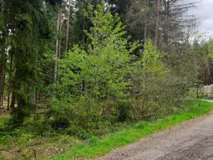 Prodej pozemku, Mlýny, 826 m2