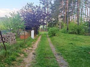 Pronájem chaty, Velké Meziříčí, 11 m2