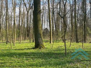 Prodej chaty, Budyně nad Ohří - Písty, 69 m2