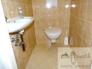 Pronájem bytu 2+kk, Brno, Cejl, 50 m2