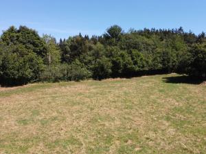 Prodej pole, Strašín, 33898 m2