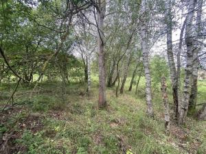 Prodej pozemku, Písečné - Slavětín, 4446 m2