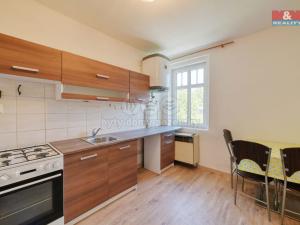 Prodej činžovního domu, Aš, Nádražní, 350 m2