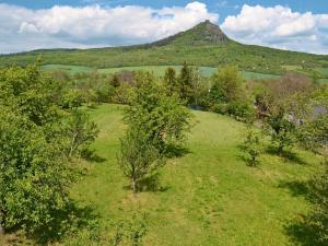 Prodej pozemku pro bydlení, Třebenice, 5844 m2