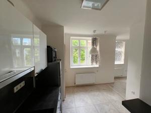 Pronájem bytu 1+kk, Brno, Havlíčkova, 38 m2
