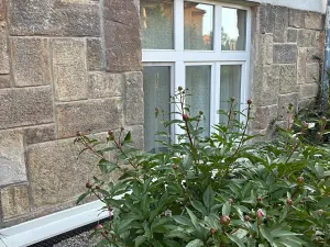 Pronájem bytu 1+kk, Brno, Havlíčkova, 38 m2