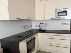 Pronájem bytu 1+kk, České Budějovice, K. Chocholy, 21 m2