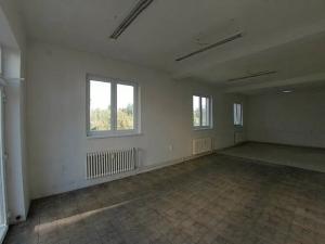 Pronájem obchodního prostoru, Horní Bříza, 55 m2