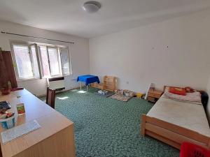 Pronájem bytu 1+1, Ostrava, Veleslavínova, 42 m2