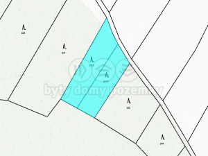 Prodej lesa, Střítež, 4100 m2