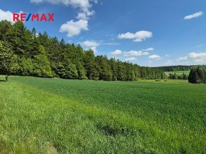 Prodej pozemku pro bydlení, Borová, 7429 m2
