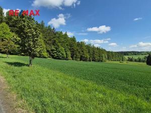 Prodej pozemku pro bydlení, Borová, 7429 m2