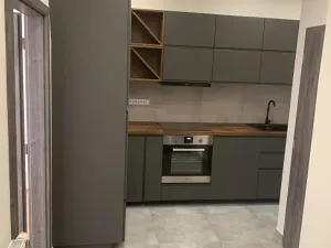 Pronájem bytu 2+kk, Praha - Nusle, U družstva Život, 60 m2