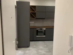 Pronájem bytu 2+kk, Praha - Nusle, U družstva Život, 60 m2