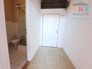 Pronájem bytu 1+kk, Prostějov, Svatoplukova, 30 m2