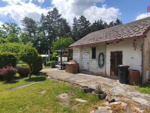 Prodej zahrady, Kynšperk nad Ohří - Dolní Pochlovice, 694 m2