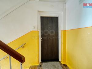 Prodej bytu 2+1, Ostrov, Šafaříkova, 55 m2