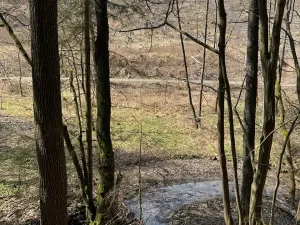 Prodej lesa, Ledeč nad Sázavou, 3240 m2