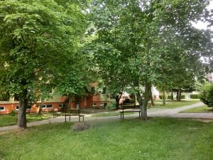 Prodej bytu 3+1, Uherské Hradiště, 70 m2