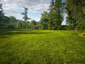 Prodej komerční nemovitosti, Sulejovice, Ke Mlýnu, 550 m2
