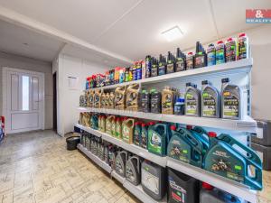 Prodej obchodního prostoru, Lišany, 832 m2