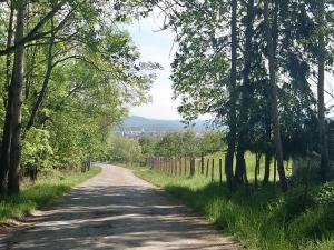 Prodej chaty, Rokycany, Čilina, 17 m2