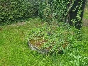 Prodej chalupy, Želetava, 120 m2