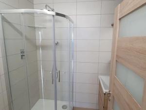 Pronájem bytu 2+1, Praha - Nusle, Plamínkové, 50 m2