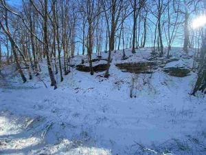 Prodej pole, Vrchovany, 672 m2