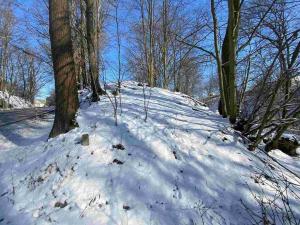 Prodej pole, Vrchovany, 672 m2