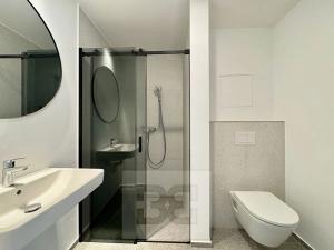 Pronájem bytu 1+kk, Znojmo, Kotkova, 35 m2