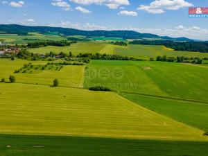 Prodej louky, Blížejov, 2373 m2