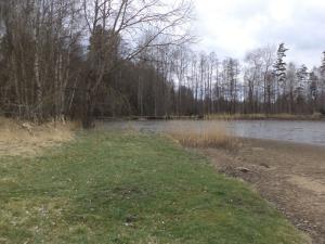 Prodej pozemku, Chlum u Třeboně - Lutová, 6727 m2