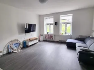 Prodej vícegeneračního domu, Jihlava, Fibichova, 300 m2